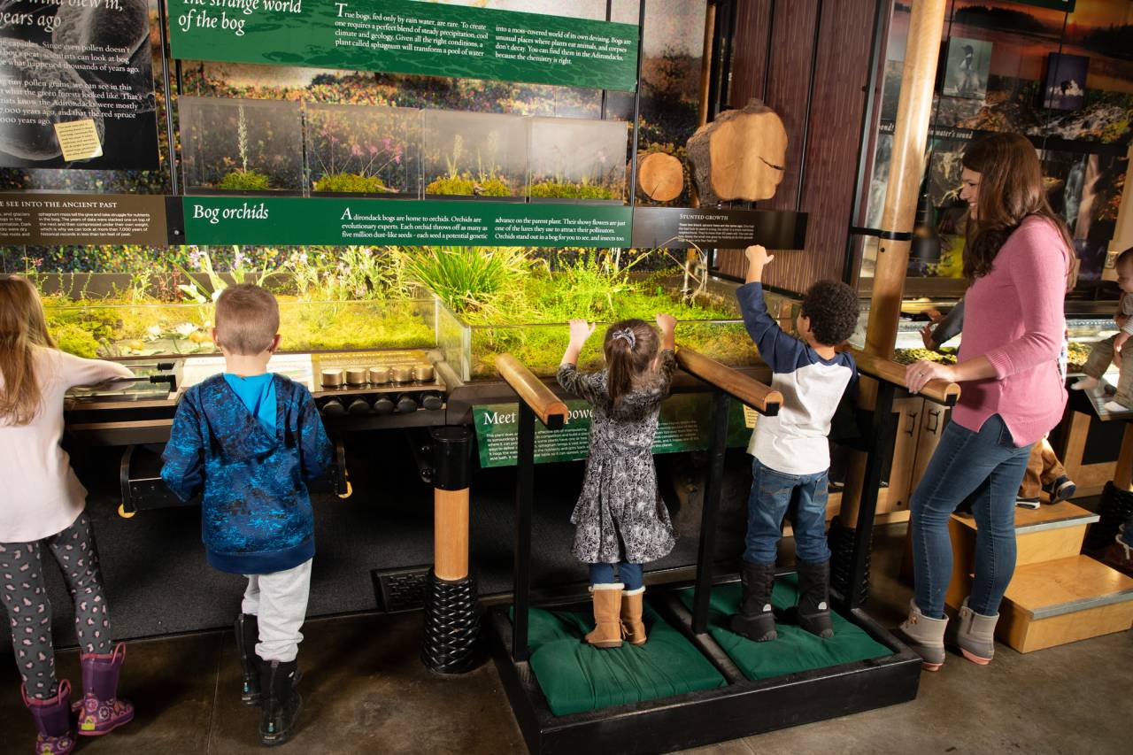 the wild center
